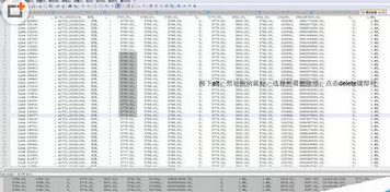 notepad++查询结果去除行号的图文教程