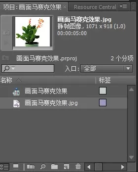 怎么通过Premiere使图片实现马赛克效果?