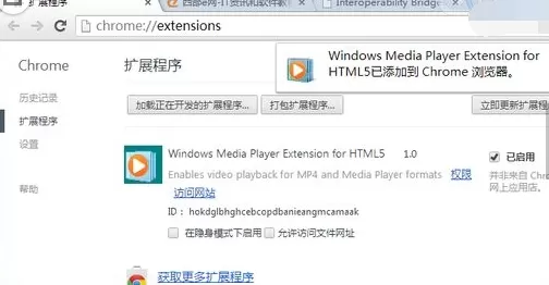 Chrome怎么安装Windows Media Player插件?