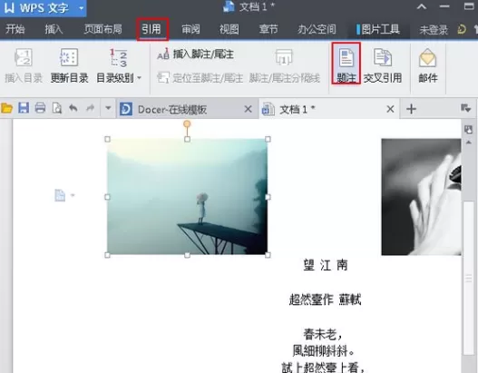 WPS文字中怎样给图片加题注？给图片加题注的方法