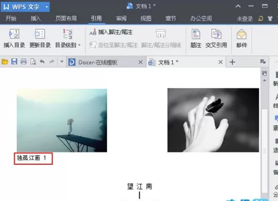 WPS文字中怎样给图片加题注?给图片加题注的方法