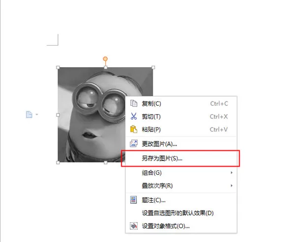 如何将WPS文字中的图片变成灰色?图片变成灰色的方法