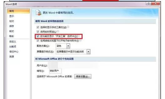 word2010怎么插入文字域窗体?