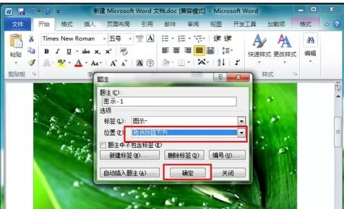 在word2010中给图片添加题注的图文教程