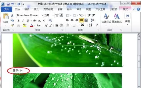 在word2010中给图片添加题注的图文教程