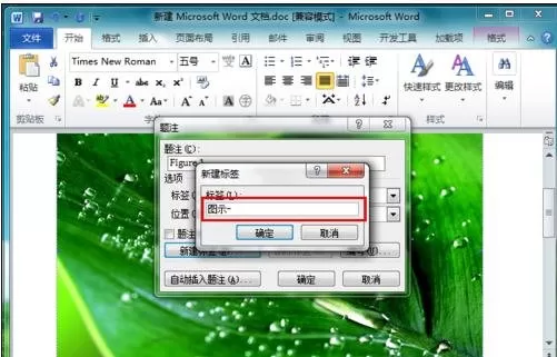 在word2010中给图片添加题注的图文教程
