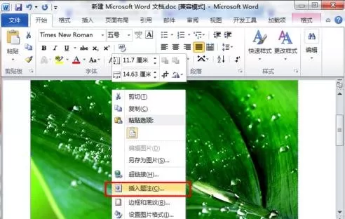 在word2010中给图片添加题注的图文教程