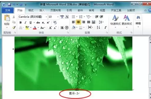 在word2010中给图片添加题注的图文教程
