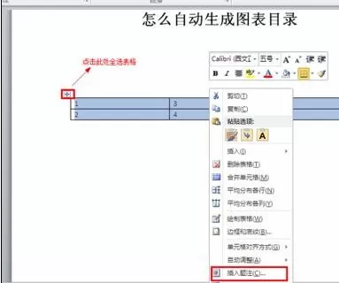 word2010自动生成图表目录的图文教程