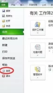 Excel2010中照相机功能如何使用？使用照相机的方法