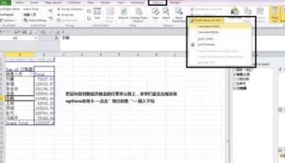 Excel2010数据透视表如何添加计算字段?