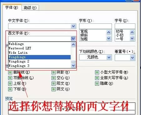 怎么在Word2010中修改所有字母和数字格式?