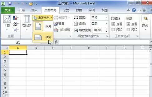 Excel 2010怎样设置纸张方向?设置纸张方向的方法