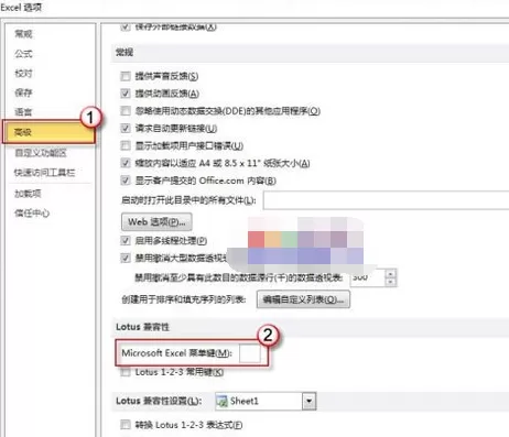 Excel 2010无法输入斜杠怎么办?无法输入斜杠的解决方法