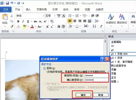 Word2010怎样锁定文档样式?锁定文档样式的方法