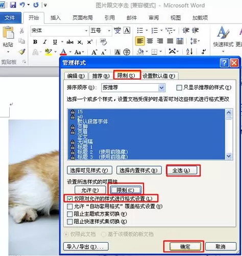 Word2010怎样锁定文档样式?锁定文档样式的方法