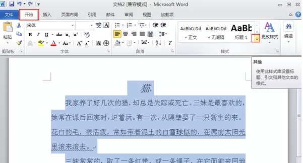 Word2010中怎样清除文档格式?清除文档格式的方法