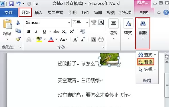 Word2010中图片代替文字的具体操作步骤
