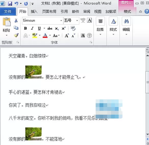 Word2010中图片代替文字的具体操作步骤