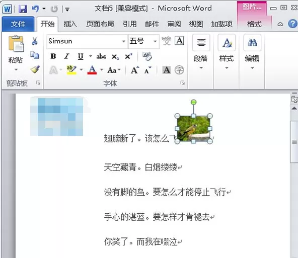 Word2010中图片代替文字的具体操作步骤