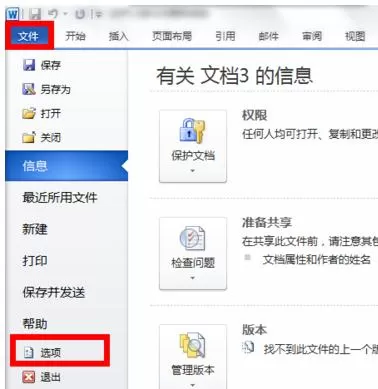 Word2010调用绘图工具的具体操作