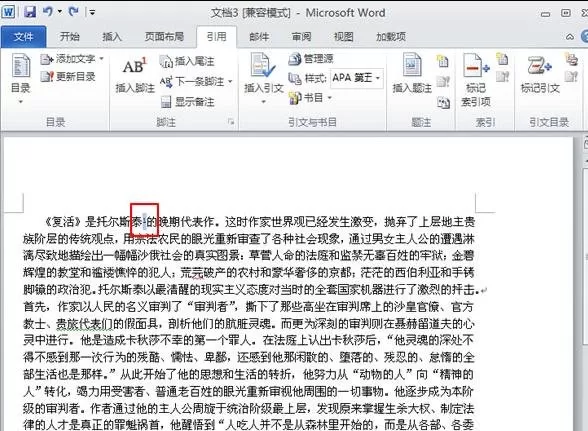 word2010添加脚注和尾注的具体方法