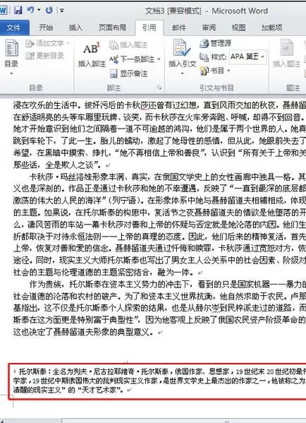 word2010添加脚注和尾注的具体方法