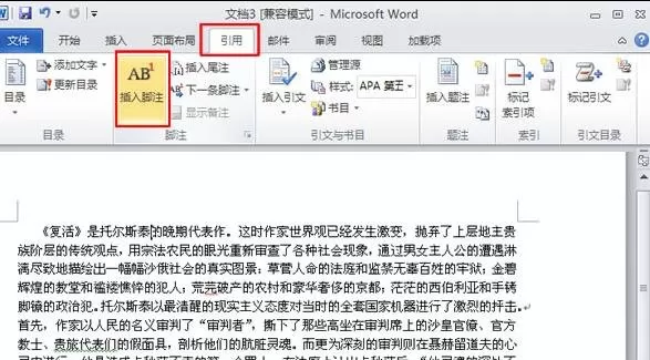 word2010添加脚注和尾注的具体方法