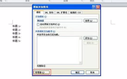 怎么将Word2010中一个文档的样式复制到另一个文档中?