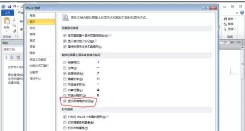 word2010怎么显示分节符?word2010显示分节符的教程