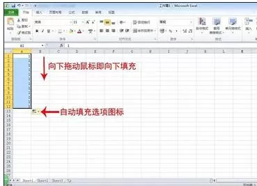 Excel2010进行数据自动填充的具体方法