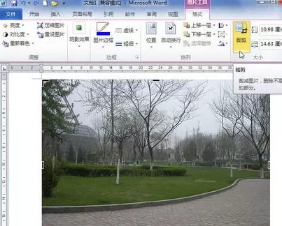 word2010怎么裁剪图片？word2010裁剪图片的方法