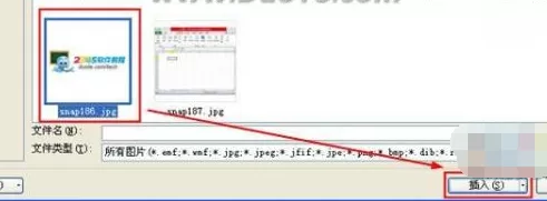 excel2010如何插入图片?excel2010插入图片的方法
