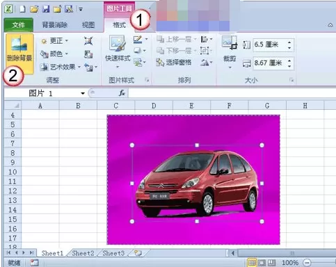 Excel2010如何去除图片背景?去除图片背景的方法