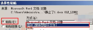 Word中的内容怎么以图片格式插入Excel2010?