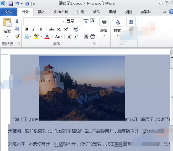 Word中的内容怎么以图片格式插入Excel2010?