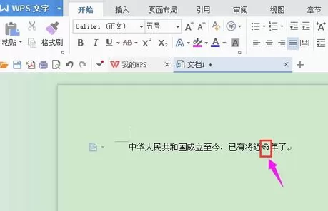 WPS如何绘制带圈字符?绘制带圈字符的方法