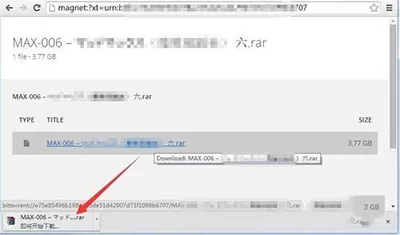 迅雷提示种子下载失败怎么办?种子下载失败的解决方法