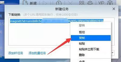 迅雷提示种子下载失败怎么办?种子下载失败的解决方法