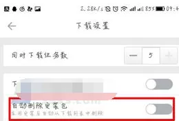 迅雷如何设置自动删除安装包?自动删除安装包的方法