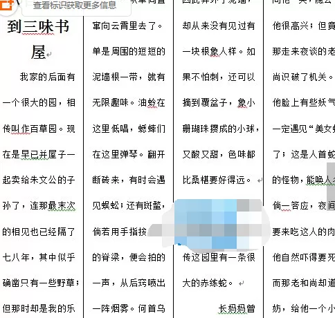 怎么设置Word2010自定义分栏?