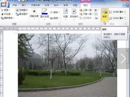 word2010进行裁剪图片的具体方法