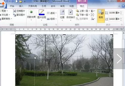 word2010进行裁剪图片的具体方法