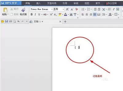 wps打出分数的的具体方法 怎么在wps中打分数?