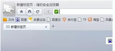 猎豹浏览器怎么查看历史记录？