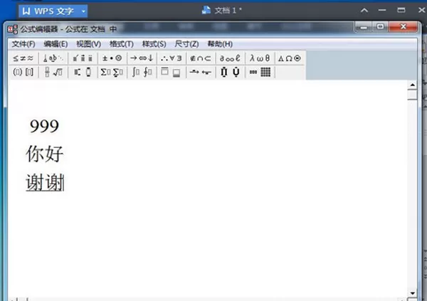 怎么在WPS文字中一行写出多行字?