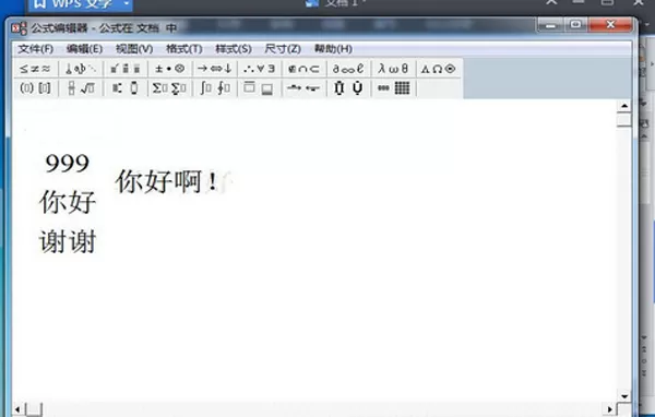 怎么在WPS文字中一行写出多行字?