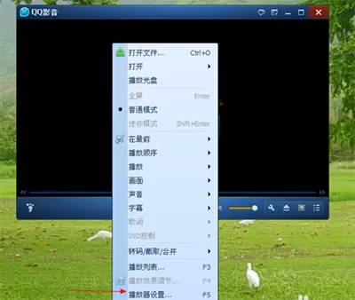 QQ影音播放器如何修改截图后路径?修改截图后路径的方法