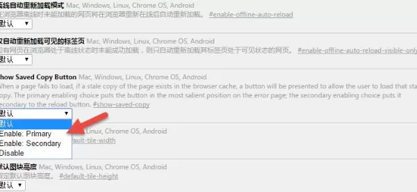 Chrome浏览器如何开启离线浏览模式?