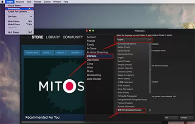 Mac版Steam更新后设置不了中文如何解决?